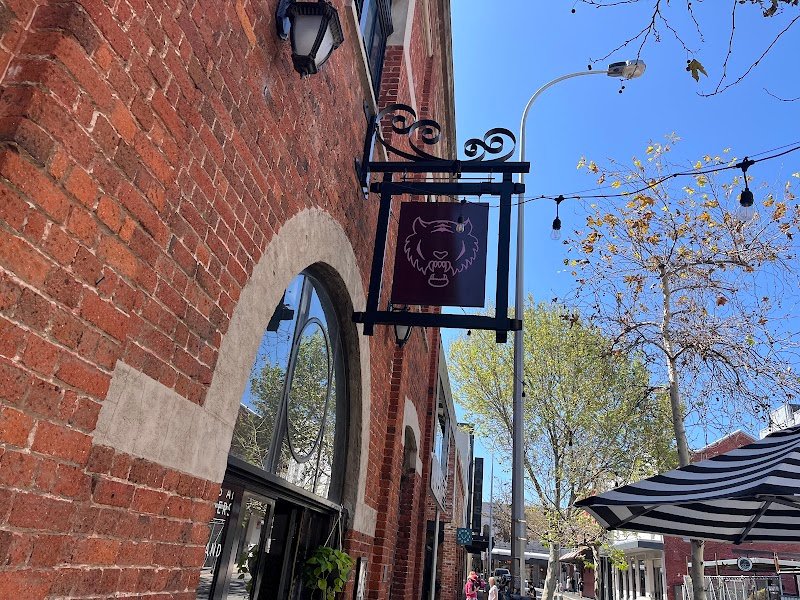 Lions And Tigers photo 5